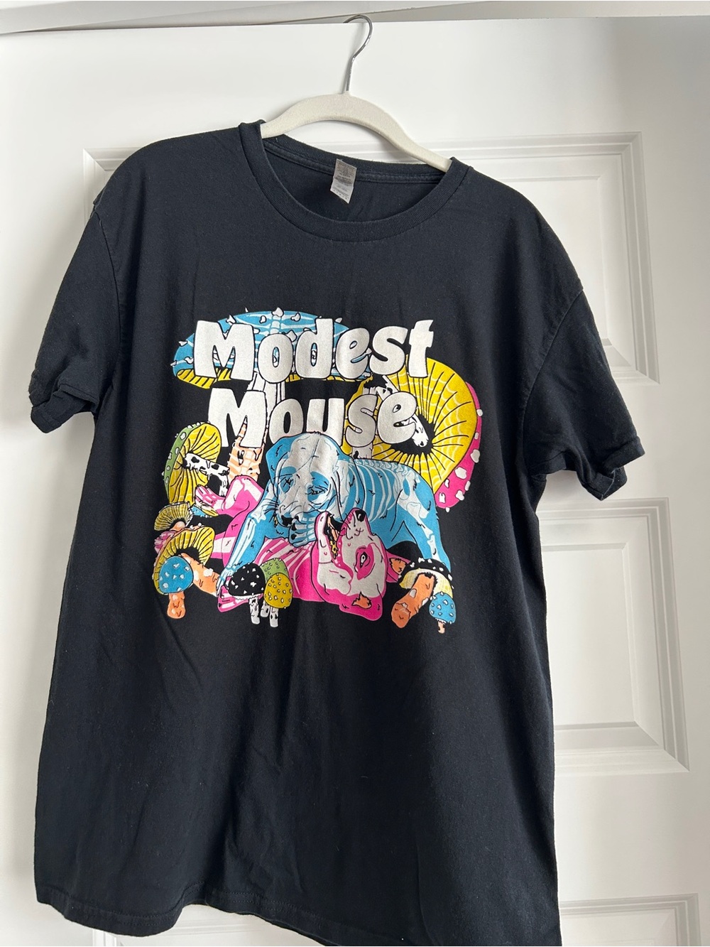 Vintage SS Modest Mouse Tee SZ L